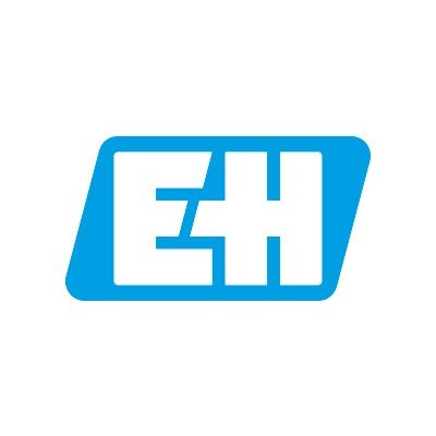 Logo de ENDRESS